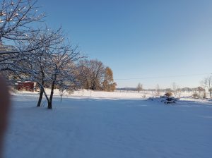 Winter_1