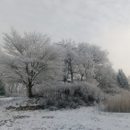 Garten im Winter_1