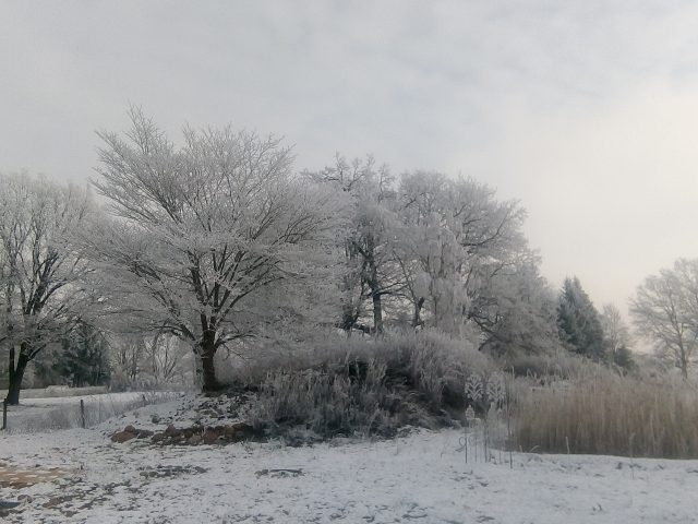 Garten im Winter_1