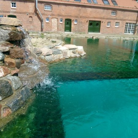 IMG_20180503_121314 (1)