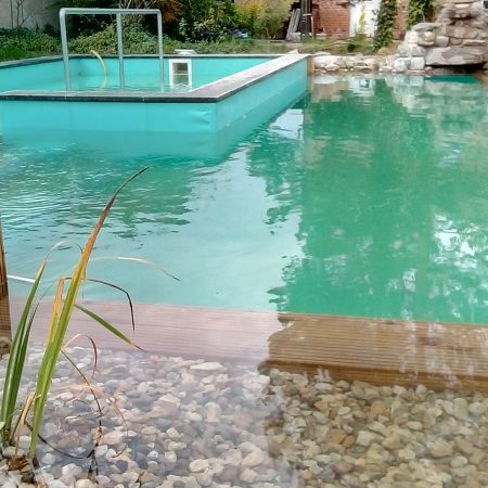 Schwimmteich1